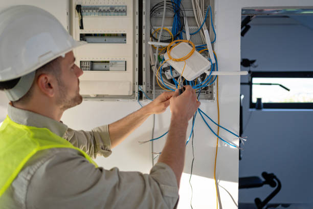 Best Electric Panel Repair  in Wellsville, KS